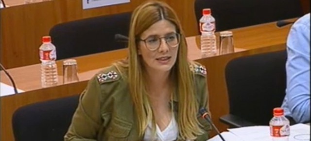 Agudo durante su intervención en la comisión parlamentaria de las Cortes de Castilla-La Mancha