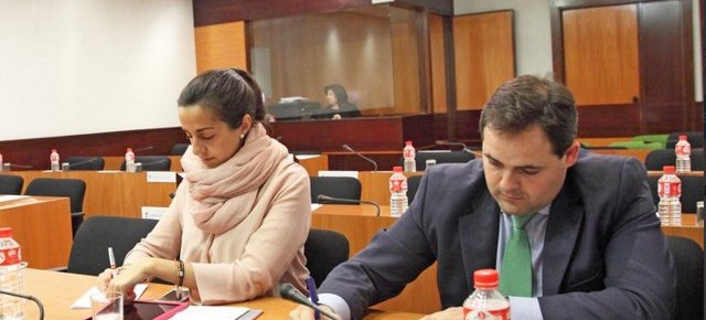 Nuñez y Roldan durante la comisión parlamentaria de Fomento
